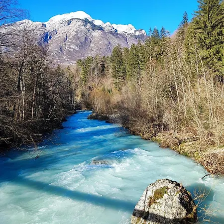 Apartman Apartma Mirko *